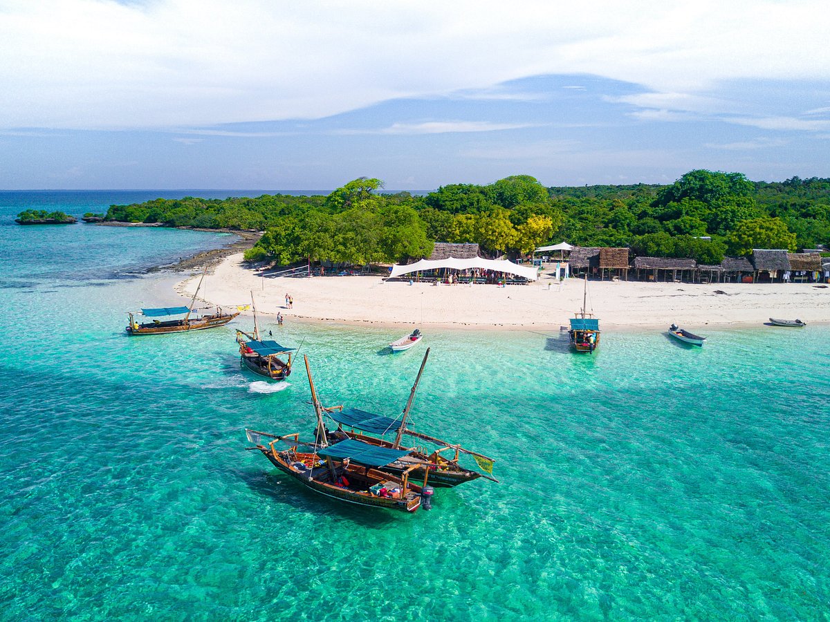 Blue Safari Boat Trip